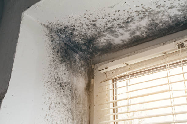Clearance testing in Woodbury Heights